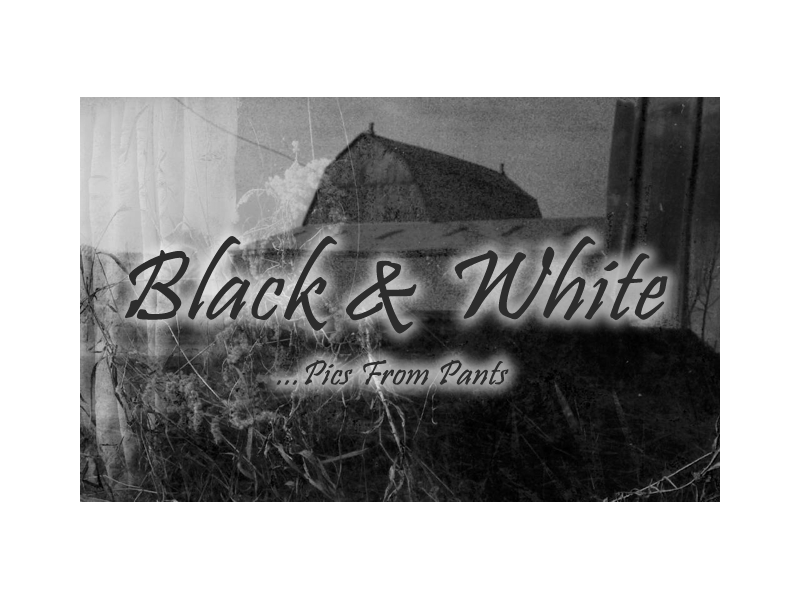 Enter Black & White Gallery