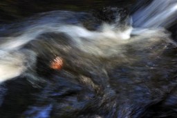 liquid desire