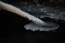 frosted