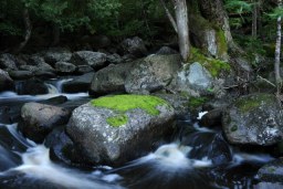 on the rocks