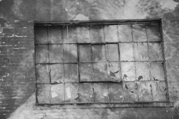 beyond the looking glass