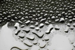 droplets