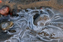ice sculpting