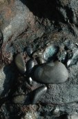 pebblelot