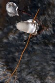 ice jewel