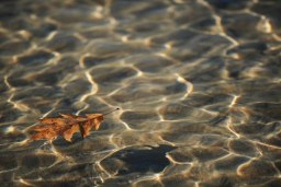 waterworld