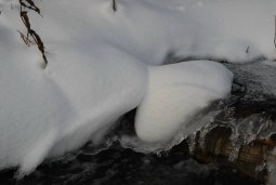 frozen tundra