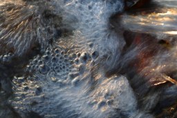 waterworld