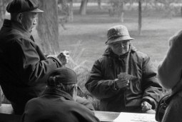 benched in the moment