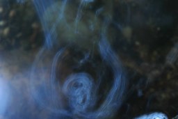 liquid desire