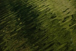 shimmer