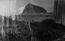 haunted