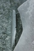 frozen