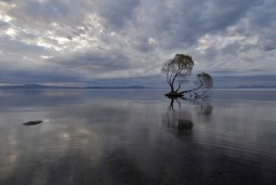 by the shore