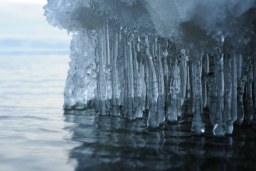 ice jewels