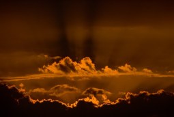 skyscape