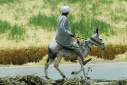 on the move