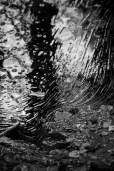 reflect