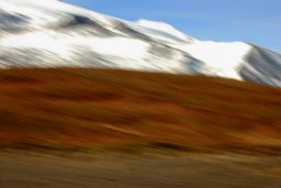 into the mountains