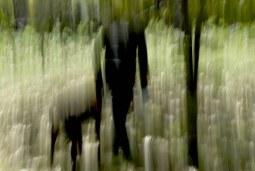 in the shadows