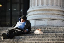 forty winks