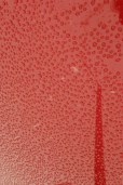 droplets