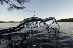 water logged