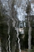 reflection