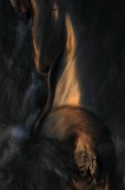 liquid desire