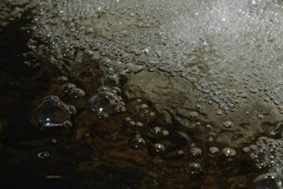 bubbly