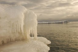 frozen tundra