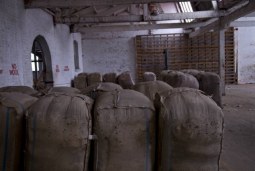 in the warehouse