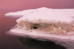 frozen tundra