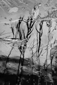 reflection