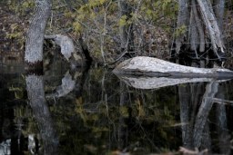 water logged