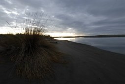 by the shore