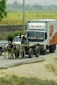 on the move