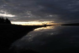 skyscape