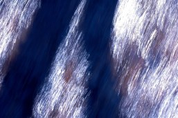 shimmer glimmer