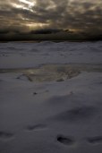 frozen vista