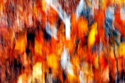 confetti