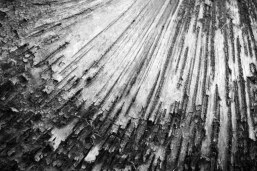 nature by design