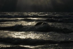 waterworld
