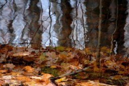 rippling reflection
