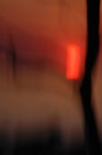 burning desire