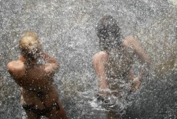 rapid liquid