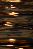 waterworld