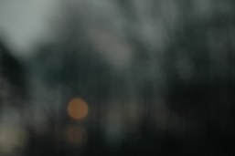 vision